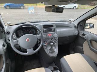 FIAT Panda usata, con Cronologia tagliandi