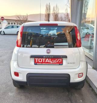 FIAT Panda usata, con Controllo trazione