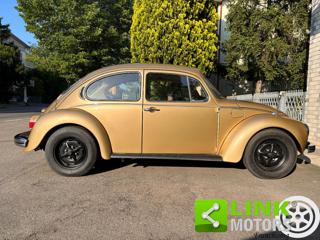 VOLKSWAGEN Maggiolone usata 10