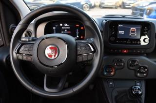 FIAT Panda usata, con Climatizzatore