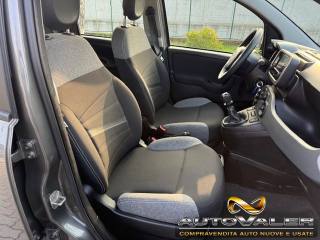 FIAT Panda usata, con Cronologia tagliandi