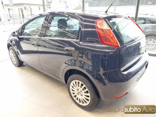 FIAT Punto usata 14