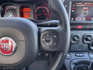 FIAT Panda Cross usata, con Servosterzo