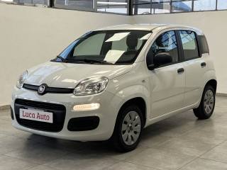 FIAT Panda 1.2 69CV *UNICO PROP.*TAGLIANDI*OK NEOPAT.*