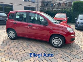 FIAT Pandina usata, con Climatizzatore