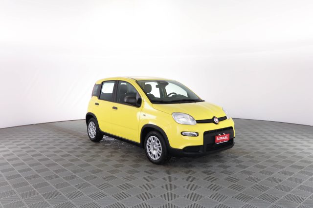 FIAT Panda usata 1