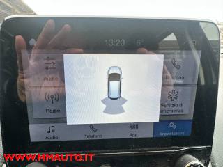 FORD EcoSport usata, con Cronologia tagliandi