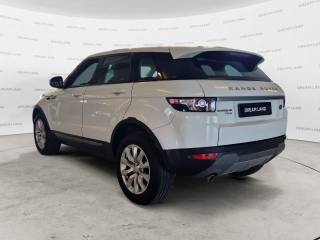 LAND ROVER Range Rover Evoque usata, con Airbag Passeggero