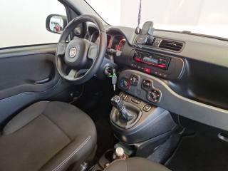 FIAT Panda usata 19