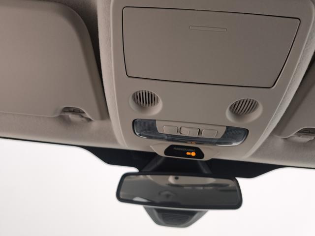 FORD EcoSport usata, con Luci diurne LED