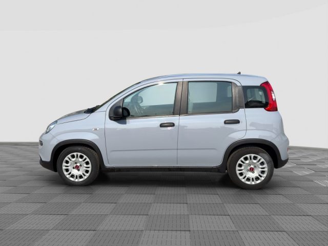 FIAT Panda usata 1