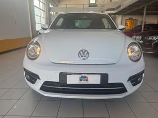 VOLKSWAGEN Maggiolino usata, con Airbag