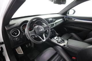 ALFA ROMEO Stelvio usata 1