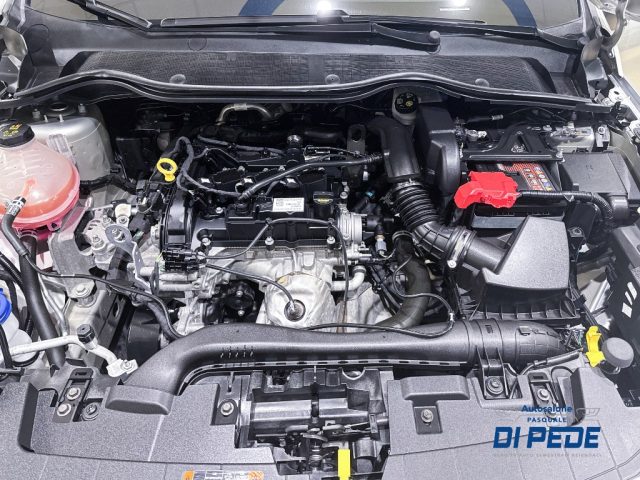 FORD Fiesta usata, con Fendinebbia