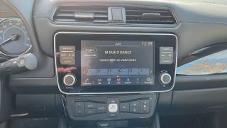 NISSAN Leaf usata, con Volante multifunzione