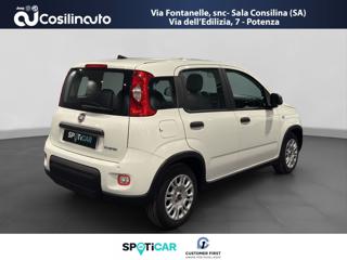 FIAT Panda usata, con Alzacristalli elettrici