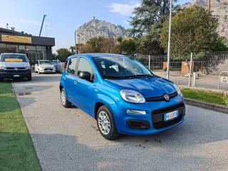 FIAT Panda usata, con Controllo trazione