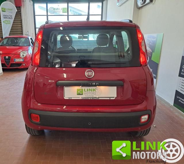 FIAT Panda usata 32