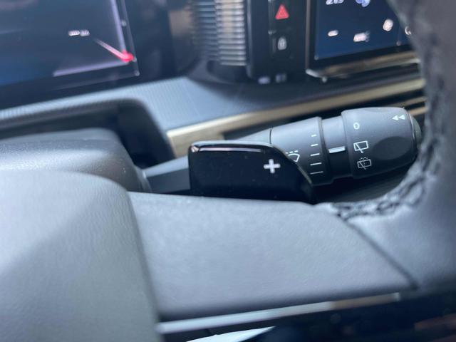 LANCIA Ypsilon usata, con Volante in pelle