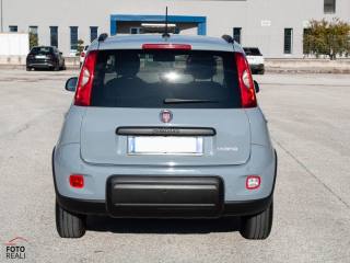 FIAT Panda usata, con Antifurto