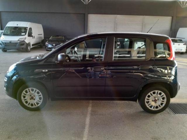 FIAT Panda usata, con Airbag