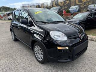FIAT Panda usata, con Airbag