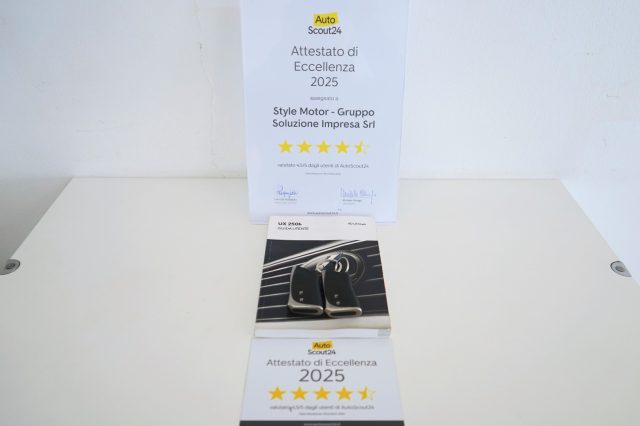 LEXUS UX 250h usata, con Fari LED