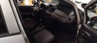 FIAT Punto usata 13