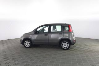 FIAT Panda usata 5