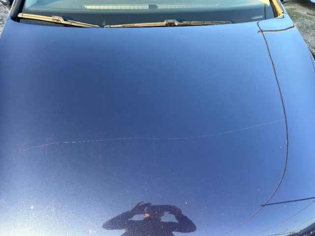 VOLKSWAGEN Golf usata, con Vetri oscurati