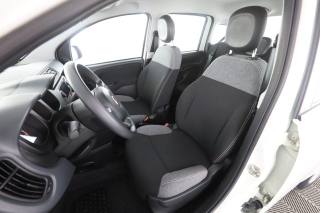 FIAT Panda usata 2