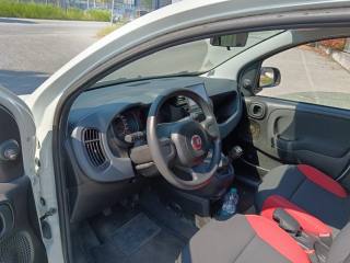 FIAT Panda usata 10