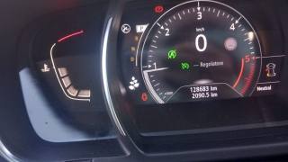 RENAULT Scenic usata, con Servosterzo