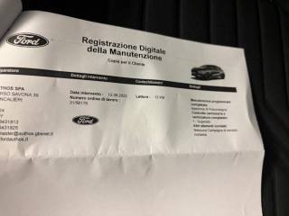 FORD Puma usata, con Bracciolo