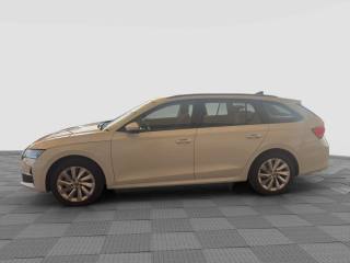 SKODA Octavia usata 1