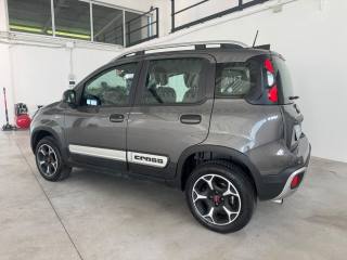 FIAT Panda Cross usata, con Alzacristalli elettrici