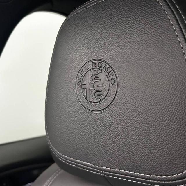 ALFA ROMEO Stelvio usata, con Cronologia tagliandi