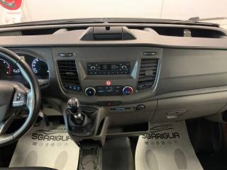FORD Transit usata, con Cronologia tagliandi