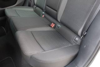 SKODA Octavia usata 102