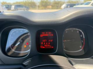 FIAT Panda usata, con Airbag testa