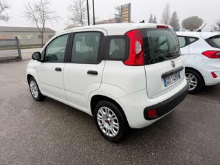 FIAT Panda usata, con Climatizzatore