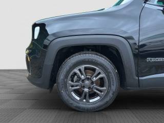 JEEP Renegade usata 13