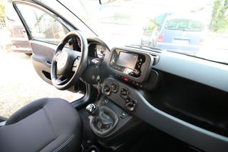 FIAT Panda usata, con Cruise Control