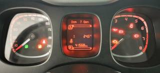 FIAT Panda usata, con Cronologia tagliandi