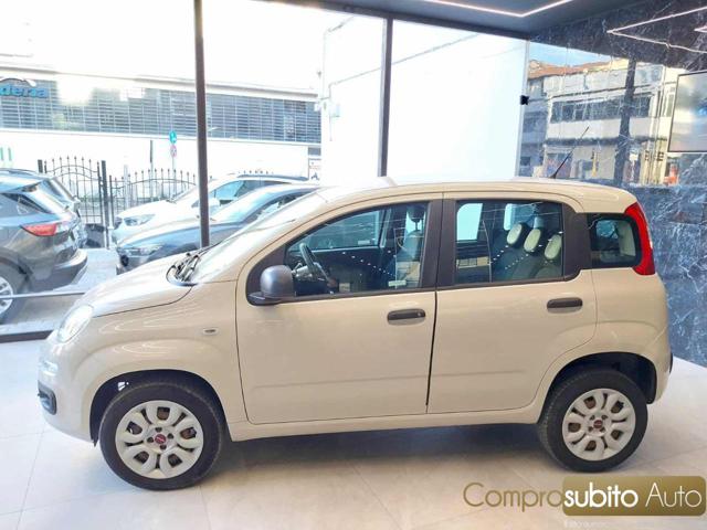 FIAT Panda usata, con Alzacristalli elettrici
