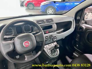 FIAT Panda usata, con Controllo trazione