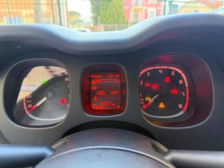 FIAT Panda Cross usata, con Fendinebbia