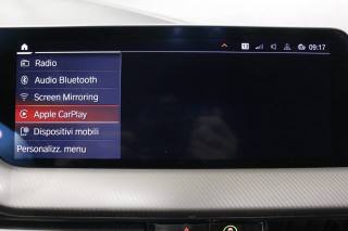 BMW 135 usata, con Fendinebbia