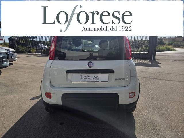 FIAT Panda usata 14