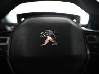 PEUGEOT 3008 usata, con Luci diurne LED